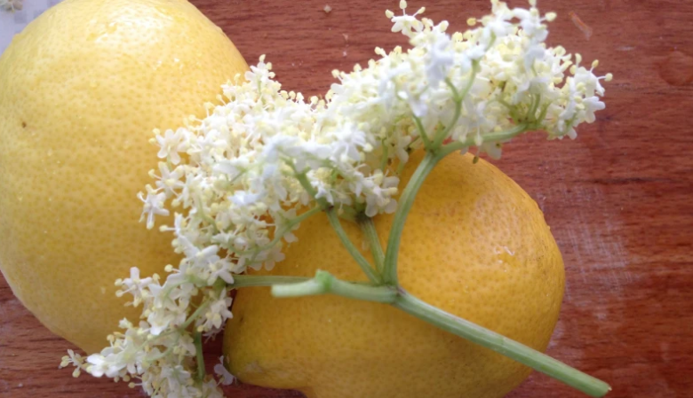 Rețetă veche de socată cu un ingredient secret / Pentru ce se poate adăuga aspirină 3 Rețetă veche de socată cu un ingredient secret | MyTex.ro