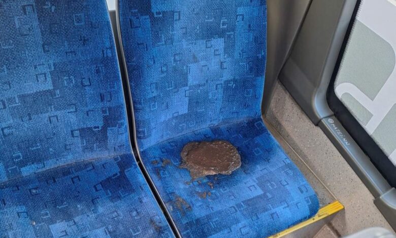 „Surpriză" într-un autobuz RATBV / „Și avem pretenția..." 3 Autobuz | MyTex.ro