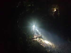 Bărbat | MyTex.ro