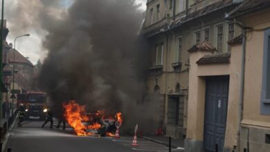 Șofer | MyTex.ro