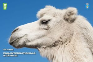 Zi specială la Zoo Brașov | MyTex.ro