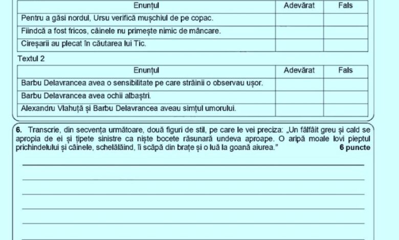 Evaluarea Națională 2025. Update. Ce s-a dat la română 3 Evaluarea Națională 2025 | MyTex.ro