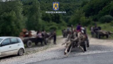 nouă | MyTex.ro
