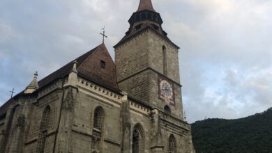 Concerte de excepție | MyTex.ro