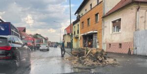 Pieton | MyTex.ro