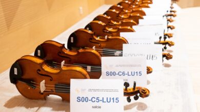 Ce ne propune Filarmonica Brașov în această lună | MyTex.ro
