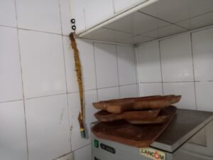 Restaurant | MyTex.ro