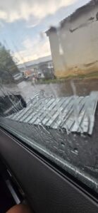 Pieton | MyTex.ro