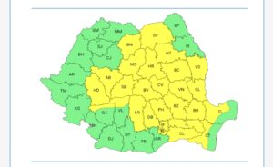 Județul | MyTex.ro