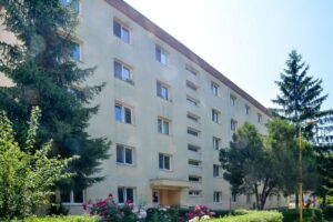Chiriașii sociali | MyTex.ro