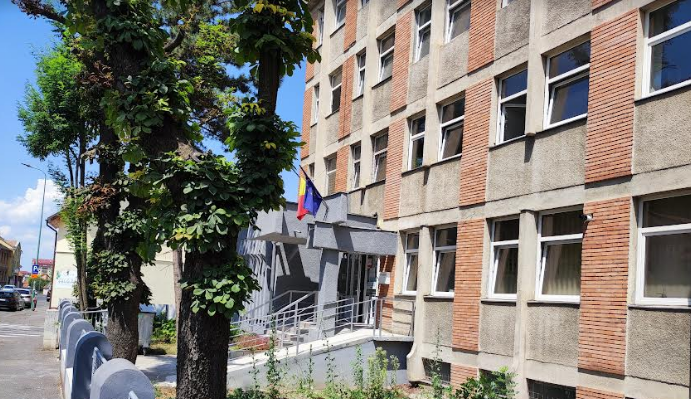 Pisică moartă | MyTex.ro