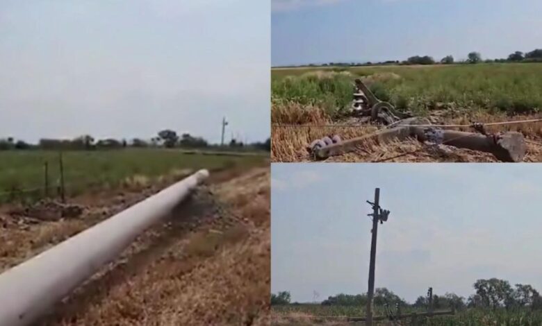 Culturi de cartof și cereale distruse de furtună la Codlea | MyTex.ro