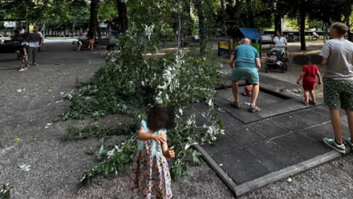 Momente de spaimă în Parcul Central din Brașov | MyTex.ro