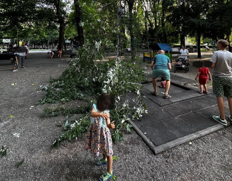 Momente de spaimă în Parcul Central din Brașov / Update. Ce a spus George Scripcaru 3 Momente de spaimă în Parcul Central din Brașov | MyTex.ro