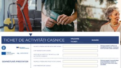 54 de prestatori casnici | MyTex.ro