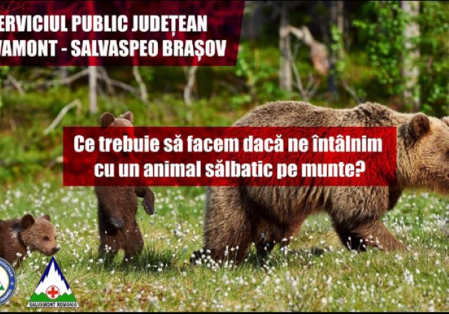 Salvamontiștii brașoveni, îngrijorați de numărul mare de turiști care merg pe munte nepregătiți 3 Salvamontiștii brașoveni | MyTex.ro