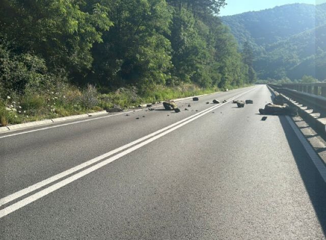 Au început defrișările pe Valea Oltului (video) 3 Au început defrișările pe Valea Oltului | MyTex.ro