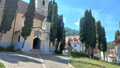 Despre dependență | MyTex.ro