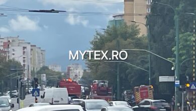 Persoană | MyTex.ro