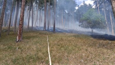 Incendiu | MyTex.ro