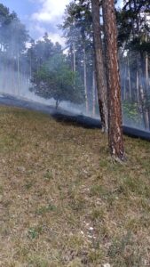Incendiu | MyTex.ro