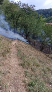 Incendiu | MyTex.ro