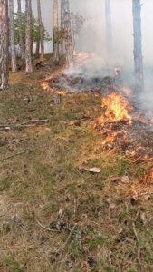 Incendiu | MyTex.ro