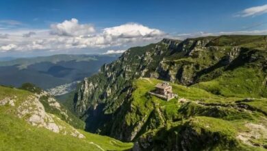 Nicușor Dan | MyTex.ro