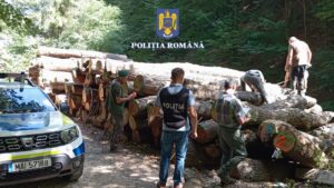 poliția | MyTex.ro