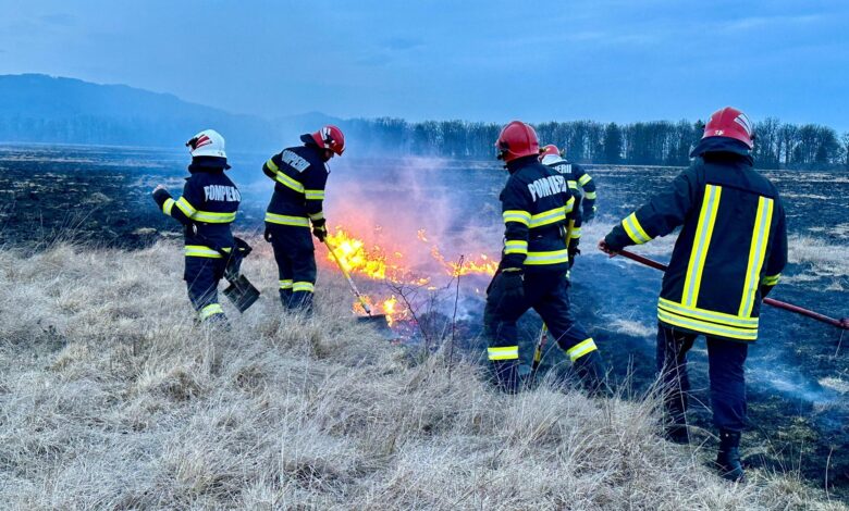 ISU Brașov: „Opriți incendierea vegetației uscate!” 3 opriți | MyTex.ro