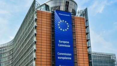 Portofoliul primit de comisarul european Roxana Mînzatu | MyTex.ro