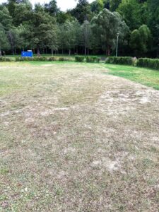 Parcul lacului Noua | MyTex.ro