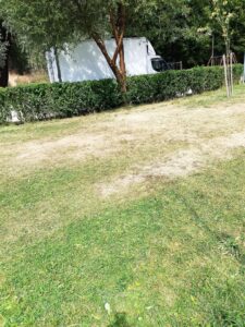 Parcul lacului Noua | MyTex.ro