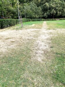 Parcul lacului Noua | MyTex.ro