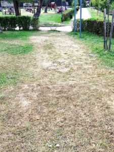 Parcul lacului Noua | MyTex.ro