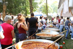 Festival văratic la Bran | MyTex.ro