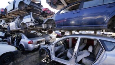 Bugetul programului Rabla 2025 a fost suplimentat 21 În ce domenii ar putea coopera Brașovul | MyTex.ro