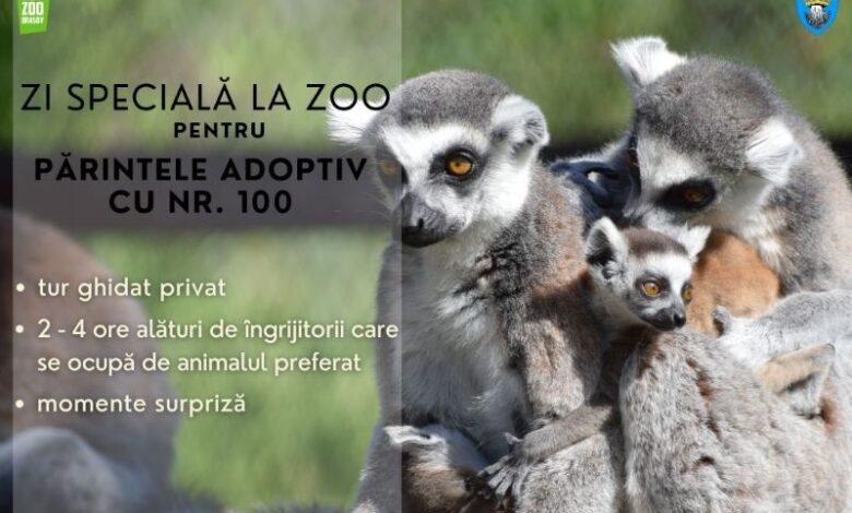Zi specială la Zoo Brașov pentru Părintele adoptiv cu numărul 100 | MyTex.ro