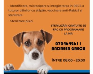 | MyTex.ro