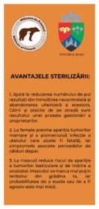 | MyTex.ro