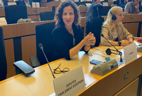 Portofoliul primit de comisarul european Roxana Mînzatu 3 Portofoliul primit de comisarul european Roxana Mînzatu | MyTex.ro