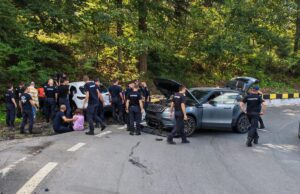 Salvați | MyTex.ro