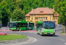 Cererea de pașapoarte | MyTex.ro