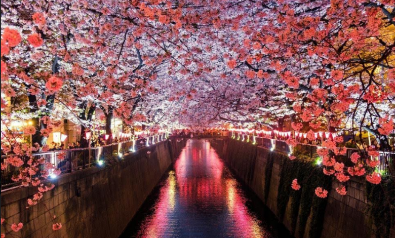 O vacanță în Japonia? 2024 este anul perfect pentru acest lucru! 5 | MyTex.ro