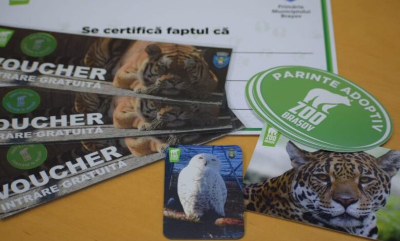 Părintele adoptiv cu numărul 100 a ales-o pe Peggy de la Zoo Brașov 7 Părintele adoptiv cu numărul 100 | MyTex.ro