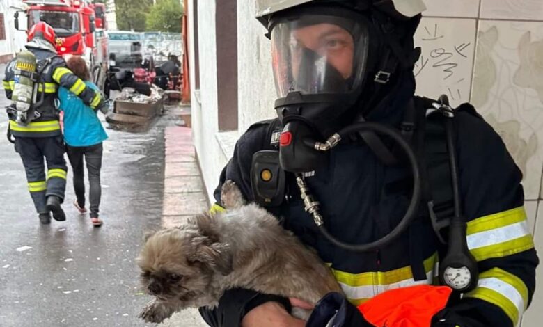 Incendiu pe strada Turnului din Brașov 3 Incendiu | MyTex.ro