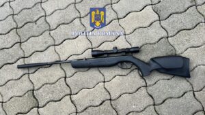 Arme | MyTex.ro