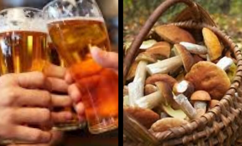 De ce este periculos consumul de alcool înainte / după consumul de ciuperci... Combinația poate fi chiar fatală 3 Consumul | MyTex.ro