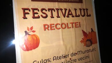 Festivalul Recoltei… la bloc | MyTex.ro