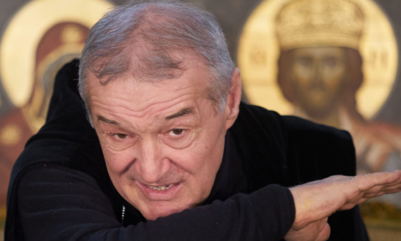 Ce a spus Gigi Becali după ce CCR a exclus-o pe Diana Șoșoacă de la alegerile prezidențiale 3 Ce a spus Gigi Becali | MyTex.ro